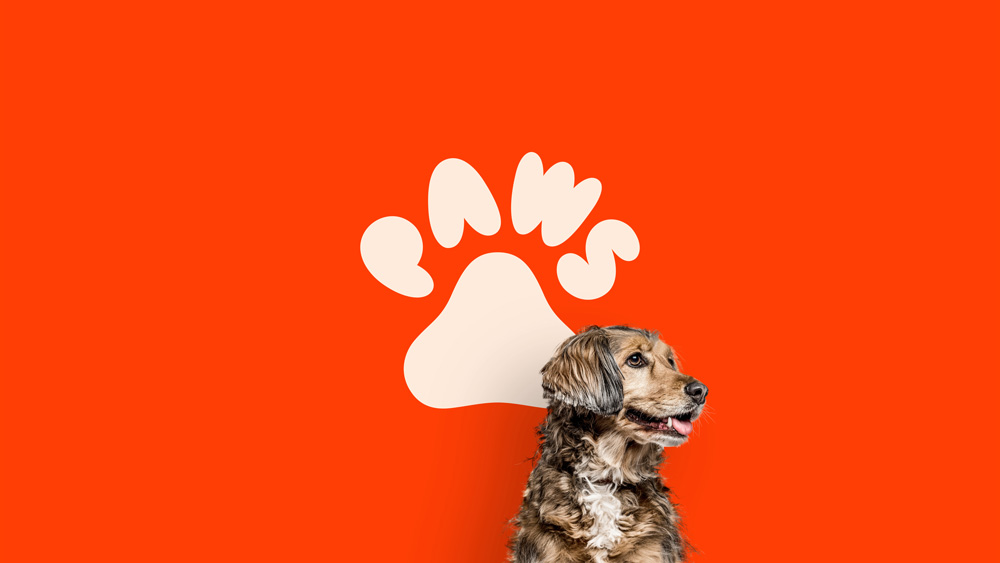 Paws應(yīng)用002