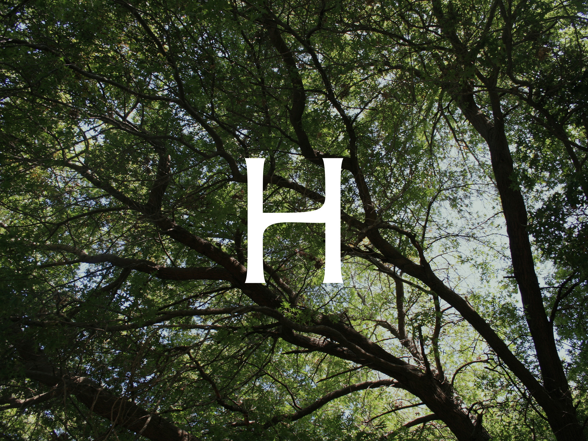 Hamran應用002